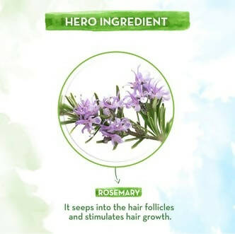 Mamaearth Rosemary Essential Oil for Hair Growth