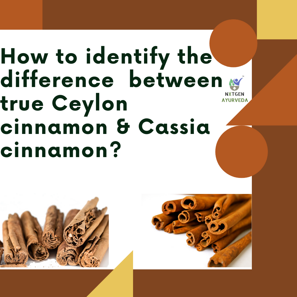 Nxtgen Ayurveda Ceylon Cinnamon Sticks
