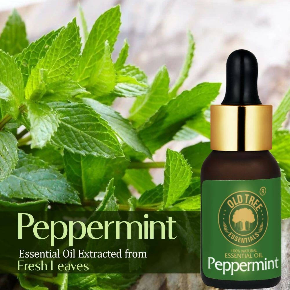 Old Tree Peppermint Essential Oil