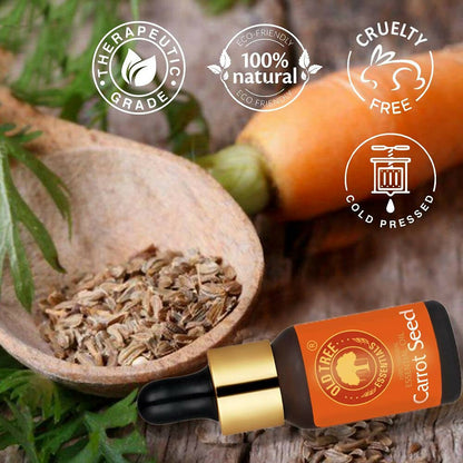 Old Tree Carrot Seed Essential Oil