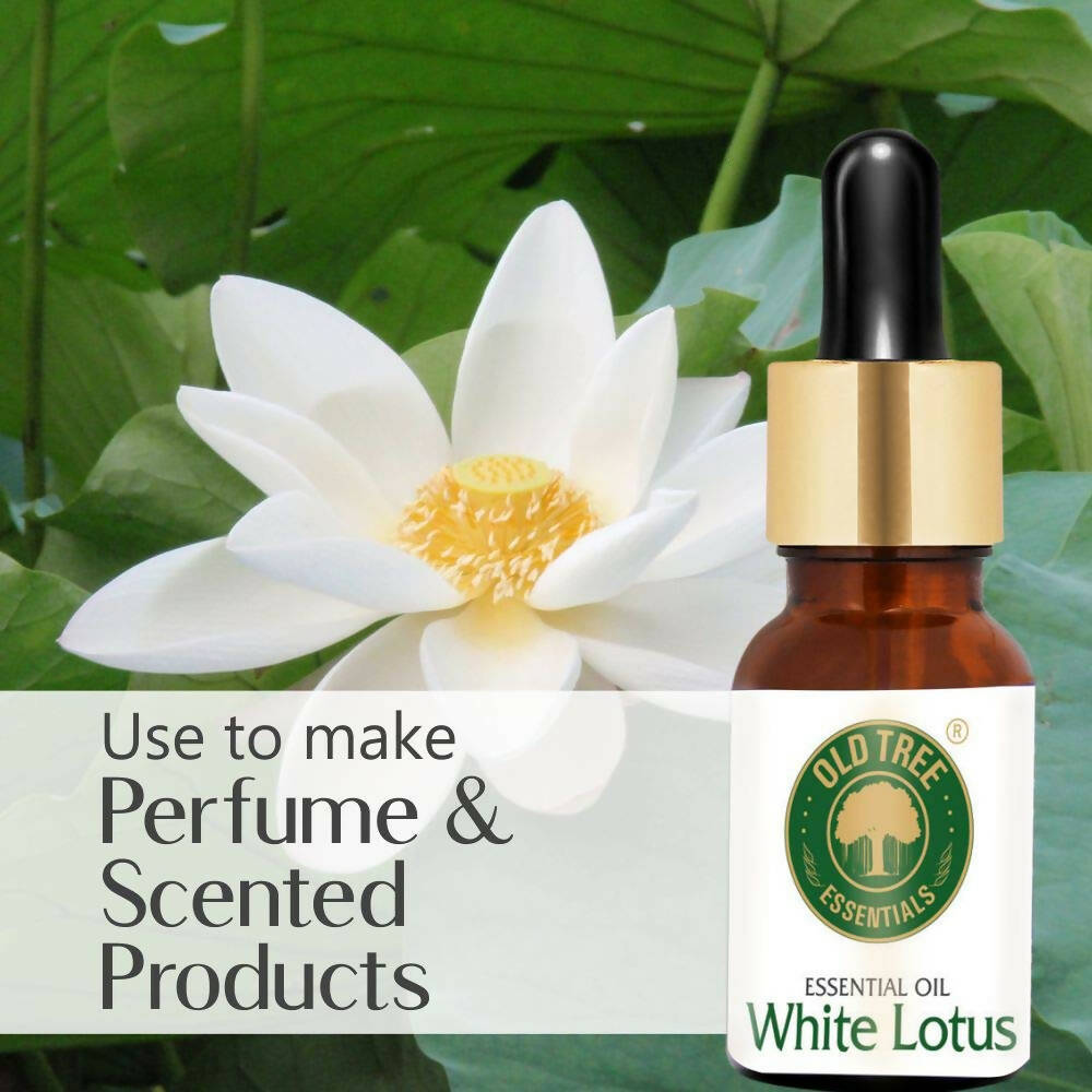 Old Tree White Lotus Essential Oil