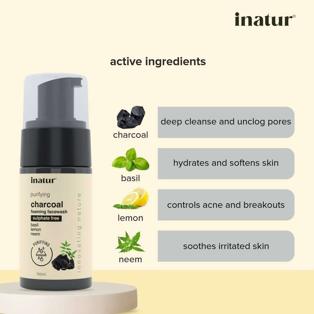 Inatur Charcoal Foaming Face Wash